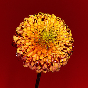 乡村派对1978法国版高清在线播放
